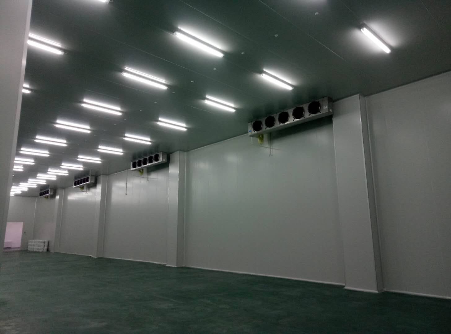 建造-35℃～-40℃急凍庫設計費用價(jià)格多少錢(qián)？