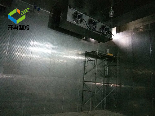 北京冷庫安裝電解液防爆冷庫報價(jià)