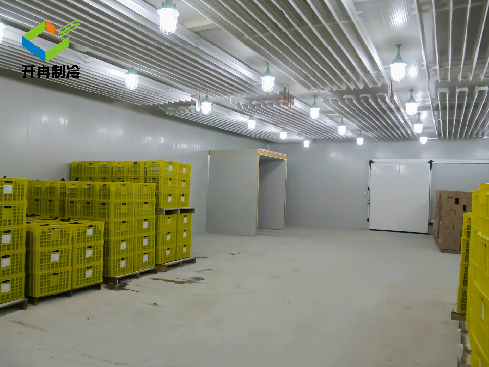 建造一個(gè)100平方的肉類(lèi)食品冷庫造價(jià)需要多少錢(qián)