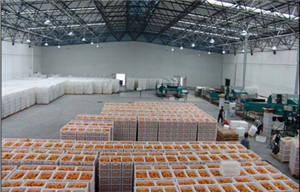 干貨類(lèi)恒溫冷庫貯藏保鮮食品原料保鮮冷庫