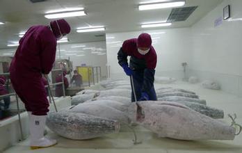 大型海鮮低溫冷庫安裝造價(jià)預算