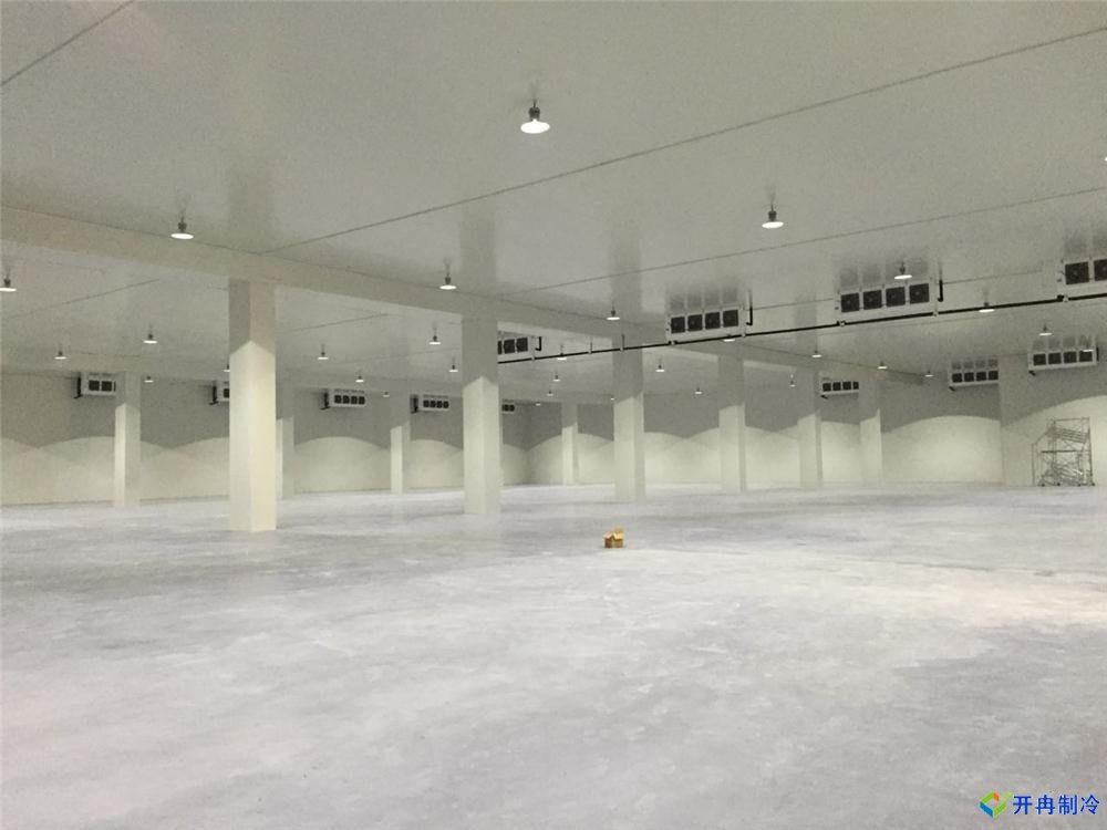 浙江建-60℃金槍魚(yú)超低溫冷庫,冷庫總價(jià)預算多少