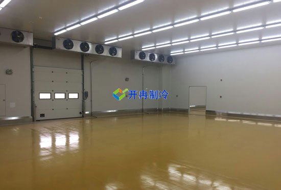 我國農產(chǎn)品果蔬冷鏈物流現狀及物流冷藏庫建造投資成本